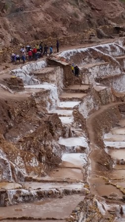 20160417_121916 - Copy_sm