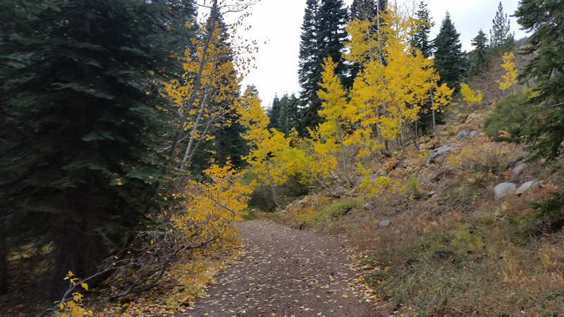 02-20171019_103220 (2)-800Wd