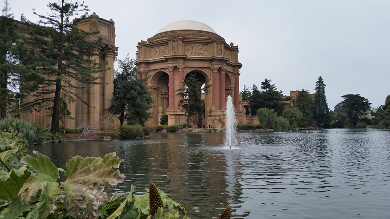 20171028_155237-800Wd