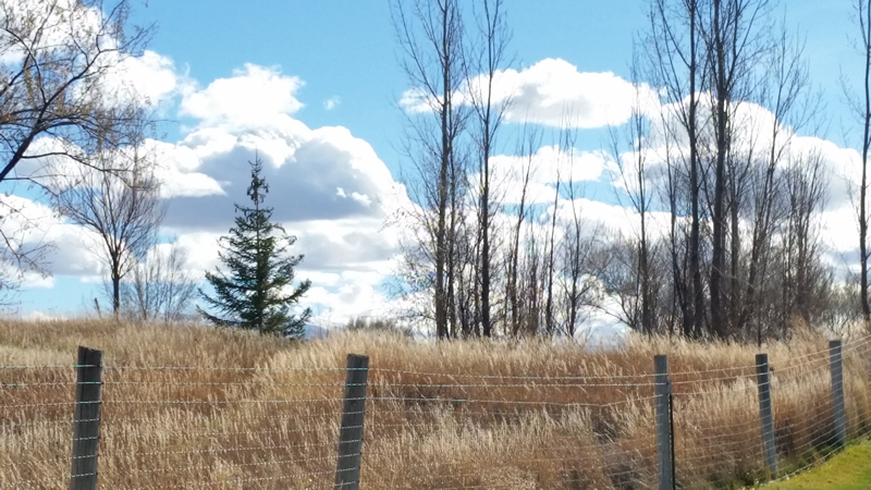 20171111_125037-800Wd